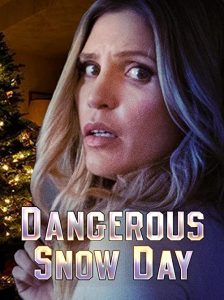 Dangerous.Snow.Day.2021.720p.WEB.h264-BAE – 1.5 GB