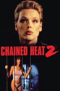 Chained.Heat.II.1993.1080p.WEBRip.DD2.0.x264-NTb – 10.1 GB