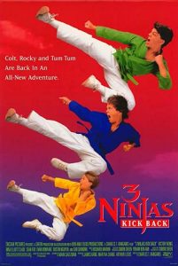 3.Ninjas.Kick.Back.1994.1080p.AMZN.WEB-DL.DDP2.0.x264-Cinefeel – 9.3 GB