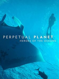 Perpetual.Planet.Heroes.of.the.Oceans.2021.1080p.HMAX.WEB-DL.DD5.1.H.264-WELP – 3.1 GB