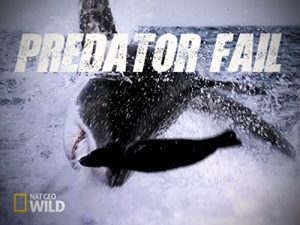 Predator.Fail.S01.1080p.DSNP.WEB-DL.DD+5.1.H.264-NTb – 7.5 GB