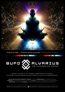 Bufo.Alvarius.The.Underground.Secret.2018.1080p.WEB.h264-SKYFiRE – 2.4 GB
