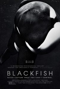 Blackfish.2013.LIMITED.DOCU.1080p.BluRay.x264-GECKOS – 6.6 GB