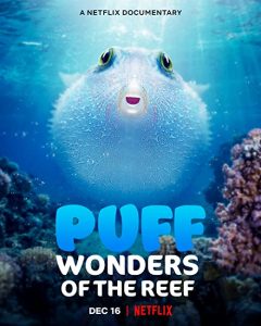 Puff.Wonders.of.the.Reef.2021.720p.NF.WEB-DL.DDP5.1.H.264-KHN – 1.5 GB