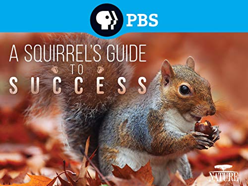 "Nature" A Squirrel's Guide to Success