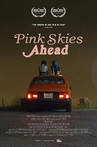 Pink.Skies.Ahead.2020.1080p.WEB-DL.AAC2.0.H.264-WELP – 2.8 GB