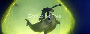 Born.to.Be.Free.2016.1080p.WEB.h264-DOCiLE – 4.7 GB