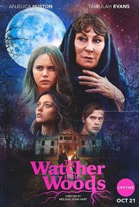 The.Watcher.in.the.Woods.2017.1080p.AMZN.WEB-DL.DDP2.0.x264-ABM – 7.4 GB