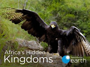 Africas.Hidden.Wonders.S01.720p.DSNP.WEB-DL.DDP5.1.H.264-playWEB – 3.9 GB