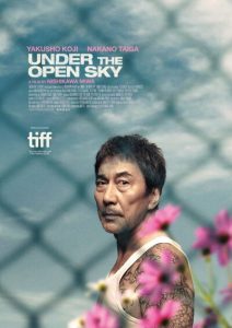 Under.the.Open.Sky.2020.RERIP.720p.BluRay.x264-NOELLE – 7.1 GB