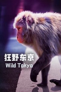 Wild.Tokyo.2021.720p.AMZN.WEB-DL.DDP2.0.H.264-WELP – 2.2 GB