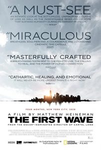 The.First.Wave.2021.1080p.DSNP.WEB-DL.DDP5.1.H.264-WELP – 4.5 GB