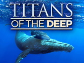 Titans.of.the.Deep-Conquest.of.the.Oceans.2017.2160p.WEB-DL.AAC2.0.H264 – 8.9 GB