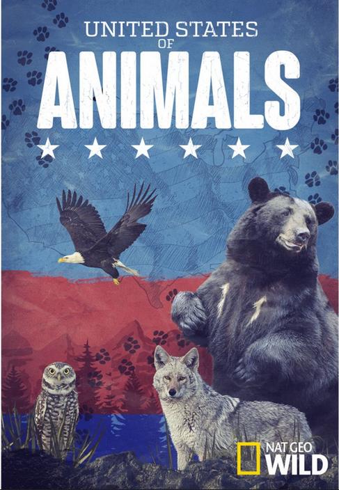 United.States.Of.Animals.S01.1080p.DSNP.WEB-DL.DDP.5.1.H.264-FLUX – 16.1 GB