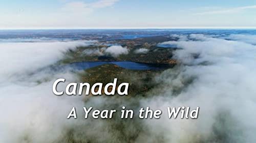 Canada.A.Year.In.The.Wild.S01.1080p.WEB-DL.DDP2.0.H.264-squalor – 10.2 GB