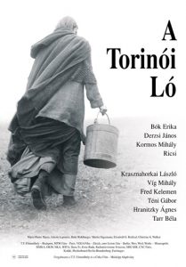 A.Torinoi.Lo.2011.720p.BluRay.FLAC.x264-ThD – 9.4 GB