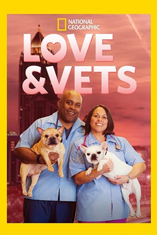 Love and Vets