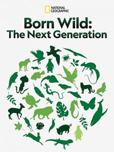 Born.Wild.The.Next.Generation.2020.720p.DSNP.WEB-DL.DDP5.1.H.264-playWEB – 1.0 GB