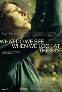 What.Do.We.See.When.We.Look.at.the.Sky.2021.1080p.AMZN.WEB-DL.DDP2.0.H.264-TEPES – 9.8 GB