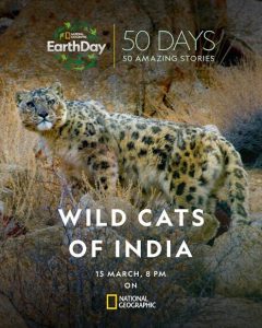 Wild.Cats.of.India.S01.720p.DSNP.WEB-DL.DDP5.1.H.264-playWEB – 2.8 GB