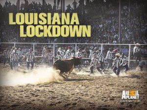 Louisiana.Lockdown.S01.1080p.WEB-DL.DDP2.0.H.264-squalor – 35.3 GB