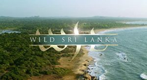 Wild.Sri.Lanka.S01.720p.DSNP.WEB-DL.DDP5.1.H.264-playWEB – 4.1 GB