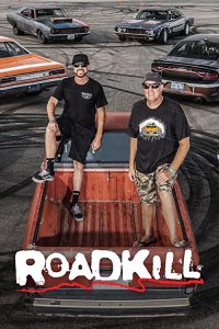 Roadkill.S10.720p.WEB-DL.AAC2.0.H.264-BTN – 6.9 GB