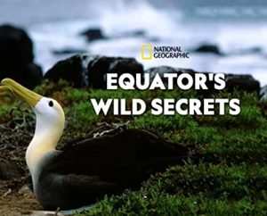 Equator’s.Wild.Secrets.S01.1080p.DSNP.WEB-DL.DD+5.1.H.264-NTb – 15.0 GB