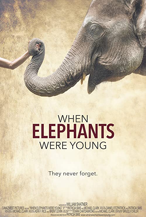 When.Elephants.Were.Young.2016.1080p.BluRay.x264-W4F – 6.6 GB
