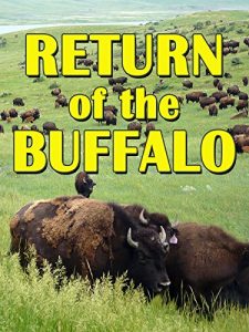 The.Return.of.the.Buffalo.2008.1080p.WEB.h264-XME – 2.6 GB