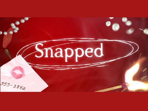 Snapped.S17.1080p.WEB-DL.AAC2.0.H.264-squalor – 29.3 GB
