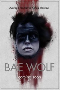 Bae.Wolf.2022.720p.WEB.h264-PFa – 1.6 GB