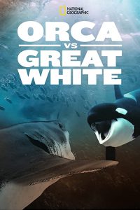 Orca.vs.Great.White.2021.1080p.WEB.h264-KOGi – 2.6 GB