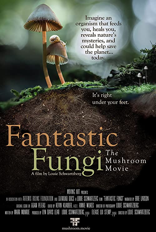 Fantastic.Fungi.2019.720p.BluRay.DD5.1.x264-HANDJOB – 3.6 GB