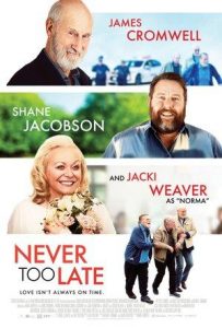 Never.Too.Late.2020.1080p.AMZN.WEB-DL.DDP5.1.H.264-WELP – 6.0 GB