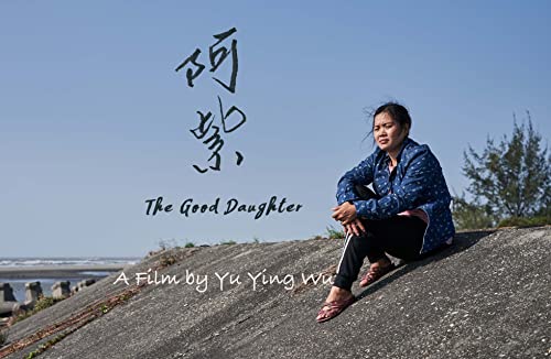 The.Good.Daughter.2019.1080p.CP+.WEB-DL.AAC2.0.H264-HAMR – 2.4 GB