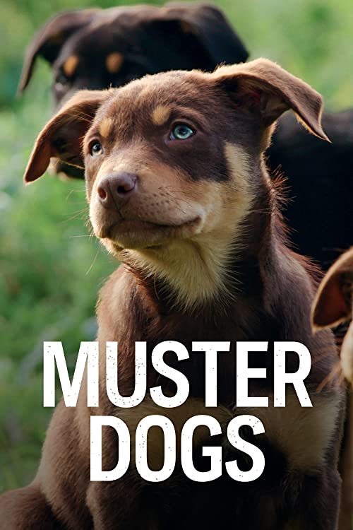 Muster.Dogs.S01.1080p.WEB-DL.AAC2.0.H.264-WH – 6.1 GB