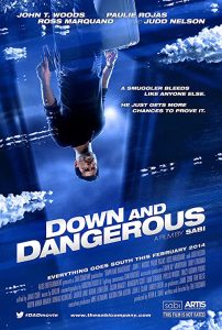 Down.And.Dangerous.2013.1080p.BluRay.x264-SONiDO – 6.6 GB