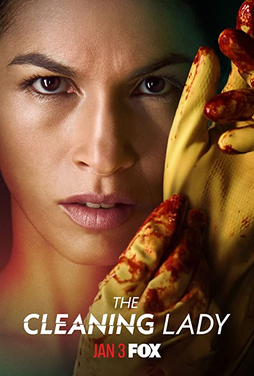 The.Cleaning.Lady.US.S01.720p.AMZN.WEB.DL.DDP5.1.H.264-NTb – 10.0 GB