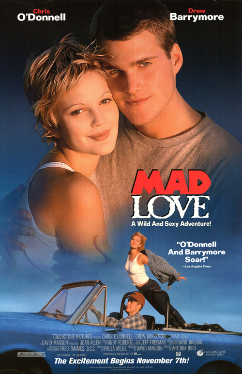 Mad.Love.1995.720p.WEB.H264-RUSTED – 3.0 GB