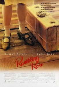 Rambling.Rose.1991.1080p.WEB-DL.DDP2.0.H264 – 6.7 GB