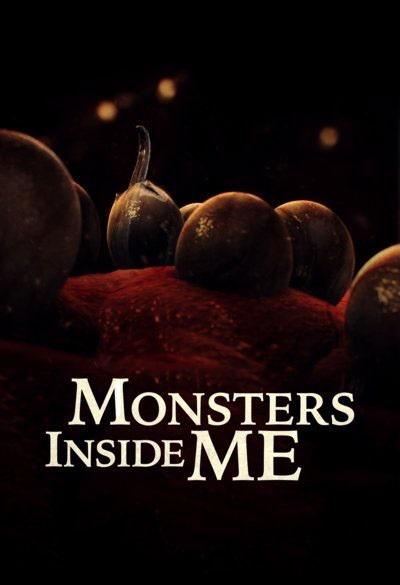 Monsters.Inside.Me.S04.1080p.WEB-DL.AAC2.0.x264-BOOP – 13.7 GB