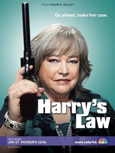 Harrys.Law.S01.1080p.AMZN.WEB-DL.DDP5.1.H.264-FLUX – 31.2 GB