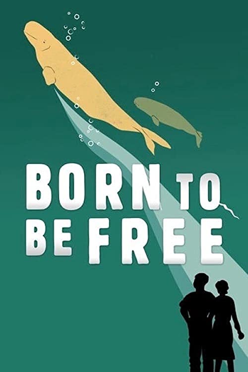 Born.to.Be.Free.2016.1080p.NF.WEB-DL.DDP2.0.x264-ASCE – 3.3 GB