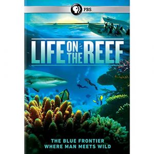 Life.on.the.Reef.S01.1080p.BluRay.FLAC2.0.x264-HiFi – 25.1 GB