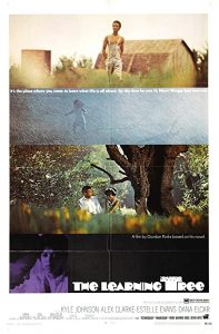 The.Learning.Tree.1969.1080p.BluRay.x264-USURY – 15.2 GB