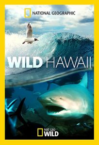 Wild.Hawaii.S01.1080p.DSNP.WEB-DL.DDP5.1.H.264-playWEB – 5.4 GB