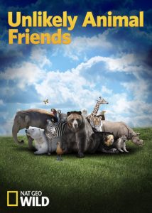 Unlikely.Animal.Friends.S02.1080p.DSNP.WEB-DL.DDP5.1.H.264-playWEB – 15.8 GB