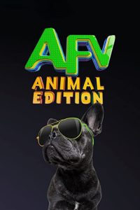 Americas.Funniest.Home.Videos.Animal.Edition.S01.720p.DSNP.WEB-DL.DDP5.1.H.264-playWEB – 15.8 GB