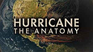 Hurricane.the.Anatomy.S01.2160p.CUR.WEB-DL.AAC2.0.H.264-NTb – 19.3 GB